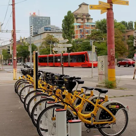 Beerhouse - Stein Bratysława